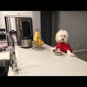 Meet your Posher, Justina